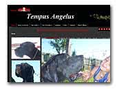 Tempus Angelus Great Dane Kennel