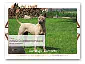 thairidgeback-dog.com