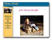 Eli's Tibetan Mastiff