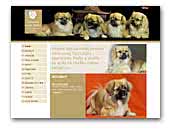 Lotosový kvet Tibetu - Tibetan spaniel Kennel