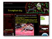 Triumphant dog German Shorthaired pointers kennel