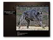 Quinquina's Irish Wolfhound