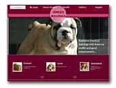 Venge's bulldogs