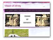 visionofinfnity.com