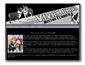 Vivax Canis Boston Terier