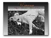 Viwaun
