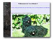 Pulizucht von Pulindo's
