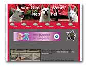 kennel von Olaf Weise - F.C.I. 4558 White Shepherd and Fila Brasileiro
