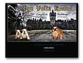 Von Volta english bulldog