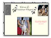 Windsdream Whippets