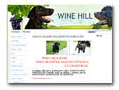 Wine Hill Flat coated retriever