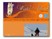 Winter Island Siberians