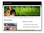 With Funky Style Kennel