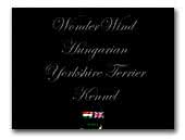 WonderWind Yorkshire Terrier Kennel