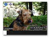Woodypaul Airedale Terrier