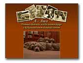 A-Awa Weimaraners