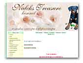 Naleks Treasure