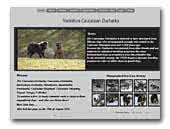 Yorkshire Caucasian Ovcharka