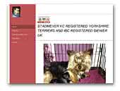 Stadmeyer yorkshire terriers