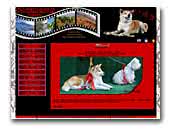 Akita-inu kennel Hachimantai