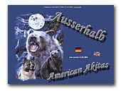 Ausserhalb American Akitas