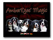 AmberEyes' Magic Kennel