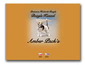 Amber Pack's Beagle Kennel