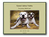 Kennel Adeste Fideles