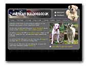 American Bulldogs Oror