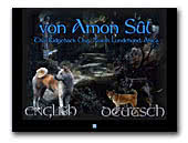 von Amon Sul