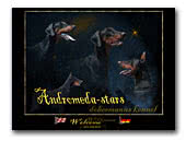 Andromeda Stars Dobermann Kennel