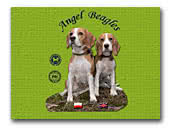 Angel Beagles
