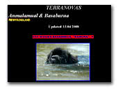 Anmalamual and Basaburua Newfoundlands Breeder