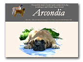 Arcondia