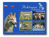 Siberian Husky Arktogea