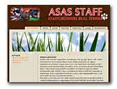 Staffordshire Bull Terrier Asas