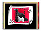 Azbelltas Kennel