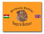 Dogue de Bordeaux Kennel Barthaszéki Búsképű