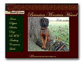Bavarian Mountain Hound
Master of Hunt Kennel UK Accredited Breeder