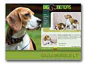 Bigbendas Beagle