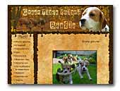 Beagle Green Place Poland FCI