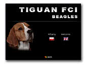 Beagles Tiguan FCI