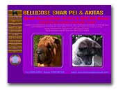 Akita and Shar Pei Bellicose