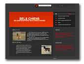 Belgian Shepherd Dog Bells Chiens Kennel