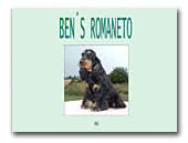 English Cocker Spaniels Ben's Romaneto