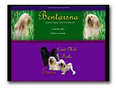 Lhasa Apsos, Lowchens & Portuguese Water Dogs Bentarsna