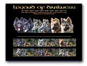 Old German Shepherds Kennel Legend of Darkness