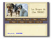Australian Shepherds and Polish Lowland Sheepdogs The Clan Mikero