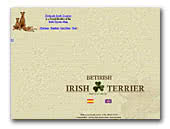 Irish Terrier Betirish