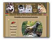 Big Foot Siberian Huskies